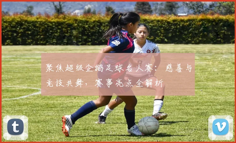 聚焦超级企鹅足球名人赛：慈善与竞技共舞，赛事亮点全解析