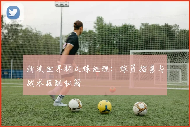 新浪世界杯足球经理：球员招募与战术搭配秘籍