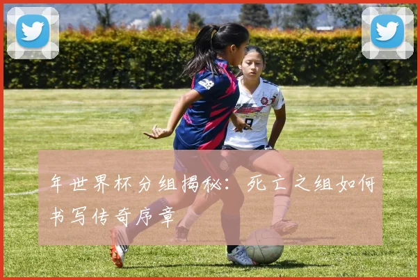 年世界杯分组揭秘:死亡之组如何书写传奇序章
