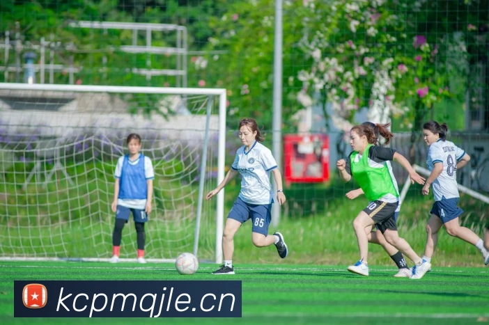 多媒体互动体验